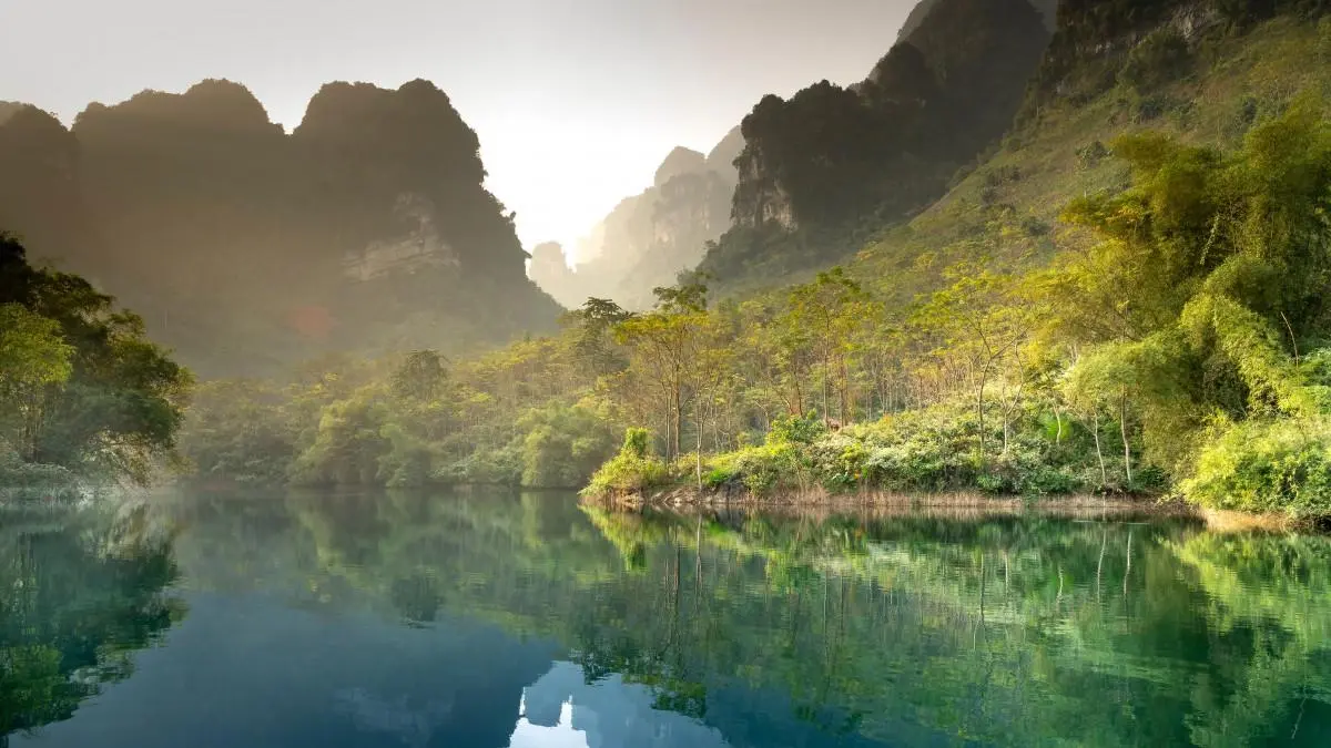 高精度环保高性能